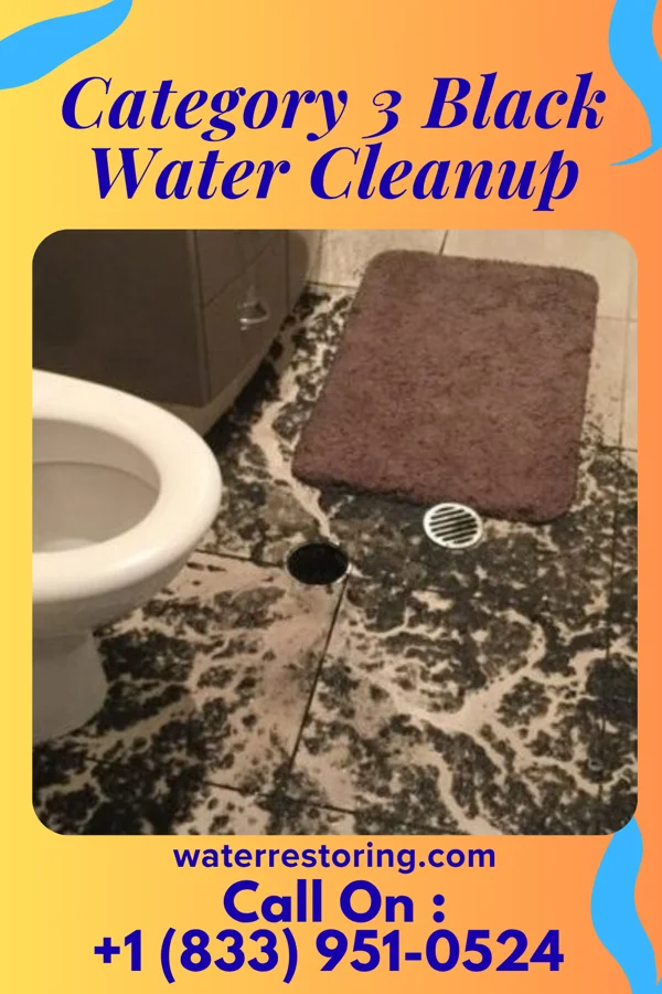 Category 3 Black Water Cleanup in Pughtown, PA