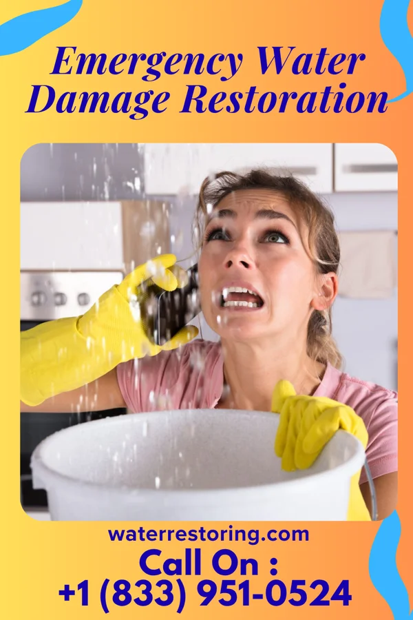 Emergency Water Damage Restoration in Pughtown, PA