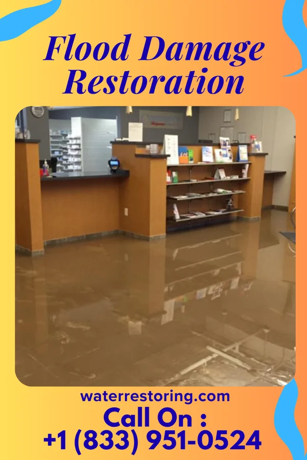 Flood Damage Restoration in Pughtown, PA
