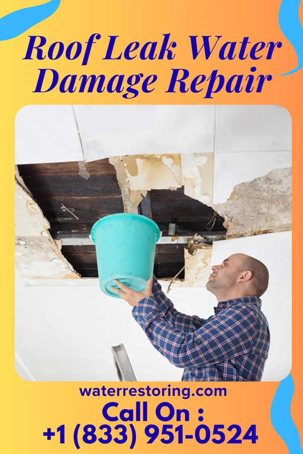 Roof Leak Water Damage Repair in Pughtown, PA