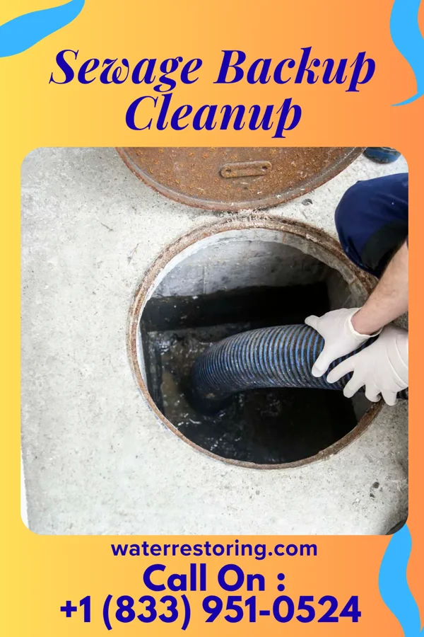 Sewage Backup Cleanup in Pughtown, PA