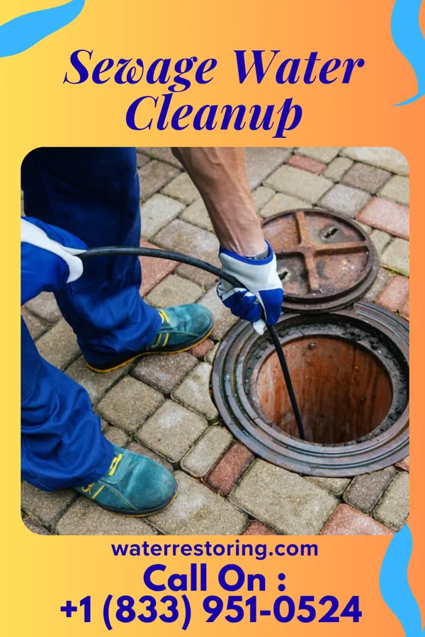 Sewage Water Cleanup in Pughtown, PA