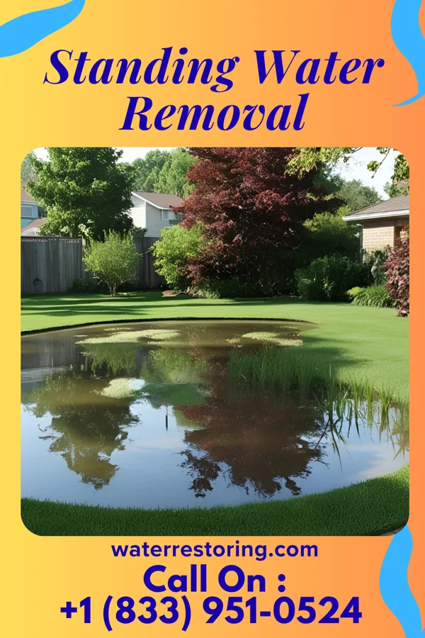 Standing Water Removal in Pughtown, PA